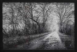 Country Lane by Kasper Nymann