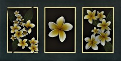 Frangipani Tryptich