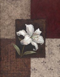 Everlasting Lily by Viv Bowles