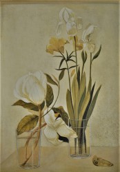 Magnolia Grandiflora by Hampton Hall