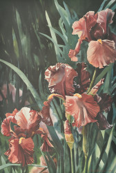 Morning Splendor by Larry K Stephensen