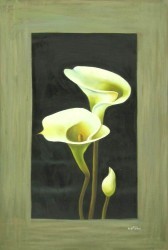 Giant White Arum Lily by William