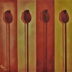 Tulip Shadows by Peggy Garr