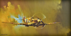Spitfire by Barrie A F Clark