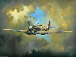 Spitfire by Jim Mitchell