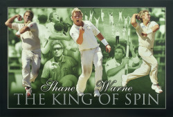 Shane Warne King Of The Spin