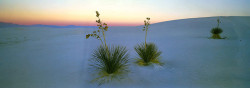 White Sands