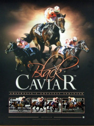 Black Caviar Australia's Greatest Sprinter Limited Edition of 1000