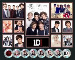 One Direction Limited Edition of 250 Double Matted with 8CD's and 11 Photos with Certificate of AuthenticityNEW