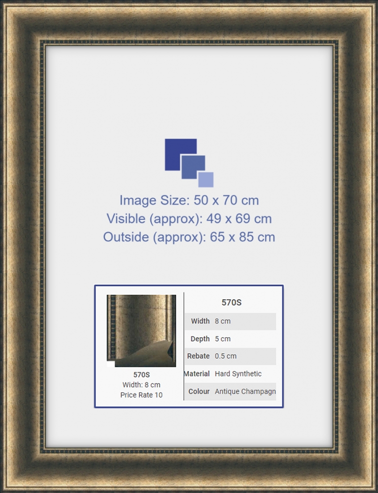 50x70cm Photo Frame Chunky Antique Champagne Colour  570S