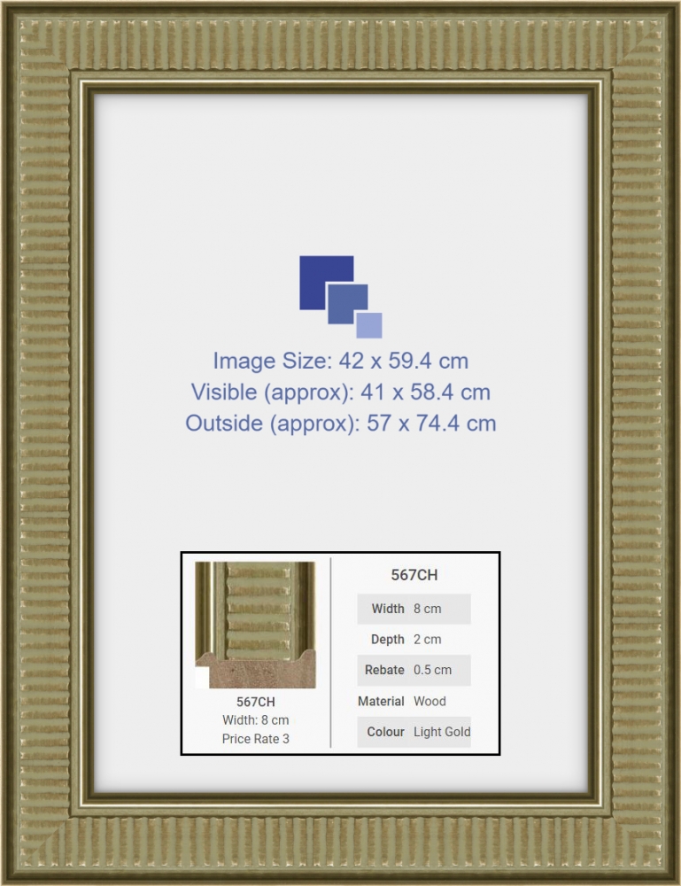 A2 Picture Frame Champagne