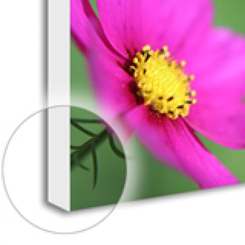 White Edge Printing Only 40x40 inch canvas