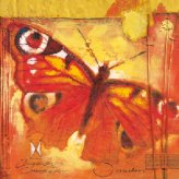 Brave Lysander - Butterfly