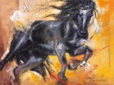 Black Arabian Beauty - Horse