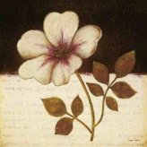 Literary Floral I