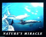 T08-Nature s Miracle (Dolphins)