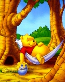 Y40-Winnie the Pooh