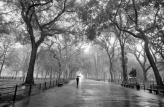 Poets Walk Central Park New York City