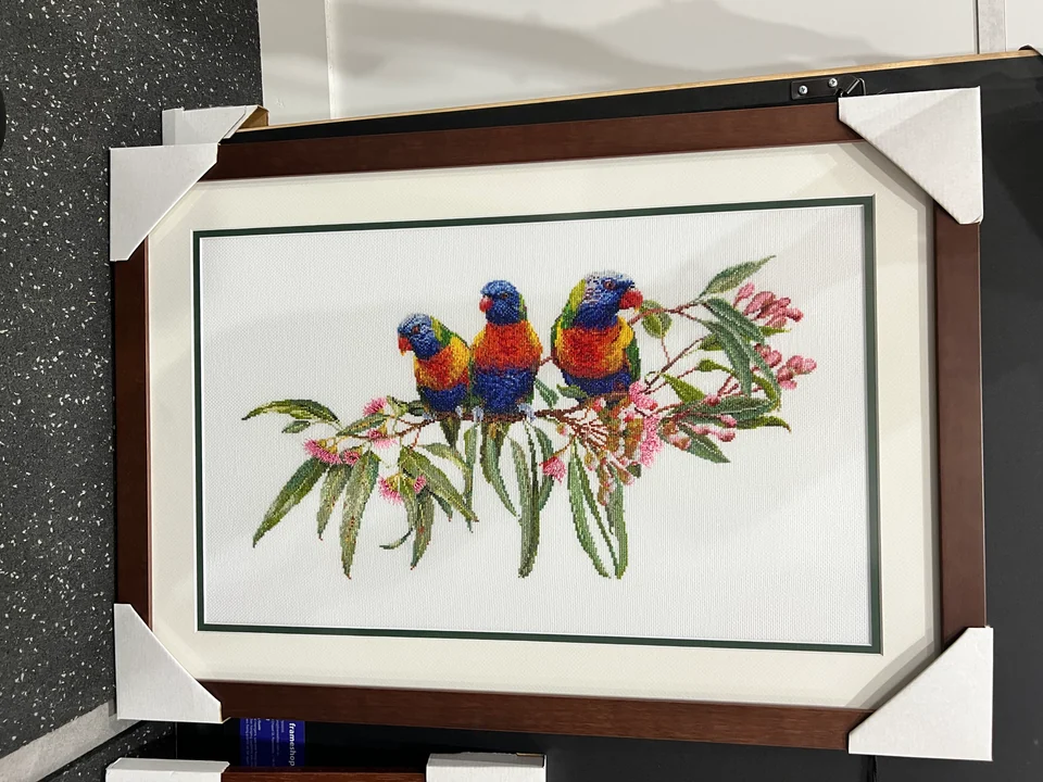 Framed lorikeet needlework with a brown frame and cream and green mats.